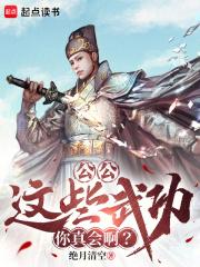 公公,这些武功你真会啊?