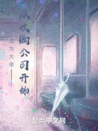 成为大佬,从收购公司开始