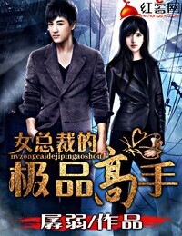 女总裁的极品高手