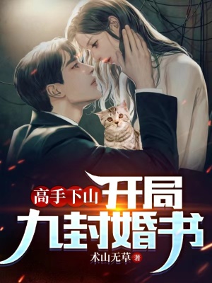 高手下山:开局九封婚书